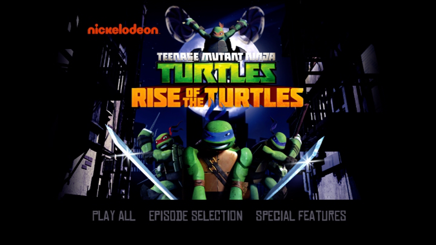 Teenage Mutant Ninja Turtles Rise of The Turtles [DVD]